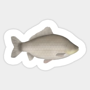 Prussian Carp Sticker